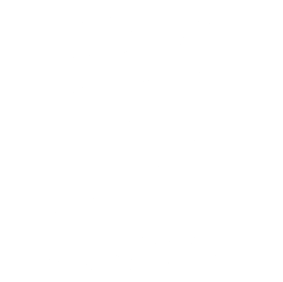 Alibaba Security Logo